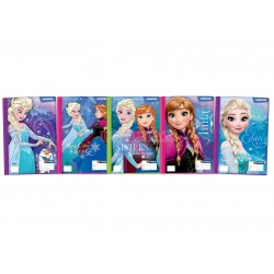 FOLDER FANTASIA VINIFAN A4 LIC FROZEN UND